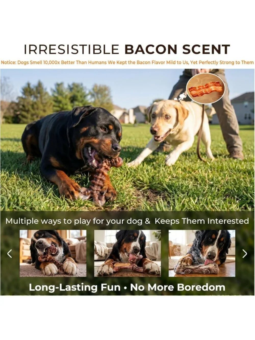 Indestructible Dog Chew Toys - 3-Pack Tough Nylon Bones for Aggressive Chewers